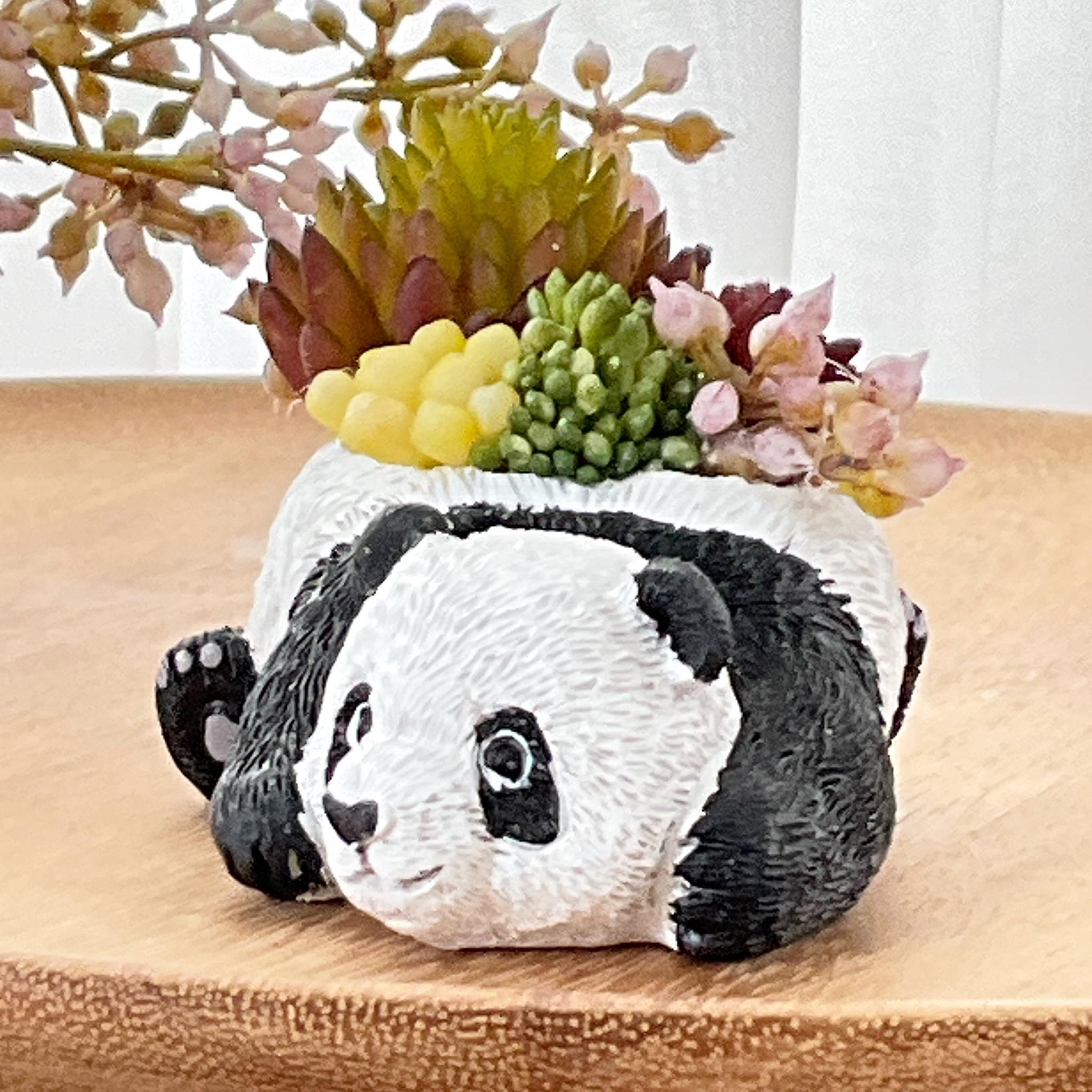 動物モチーフ　多肉植物(フェイク)の寄せ植え　ころりんパンダさん | 3枚目