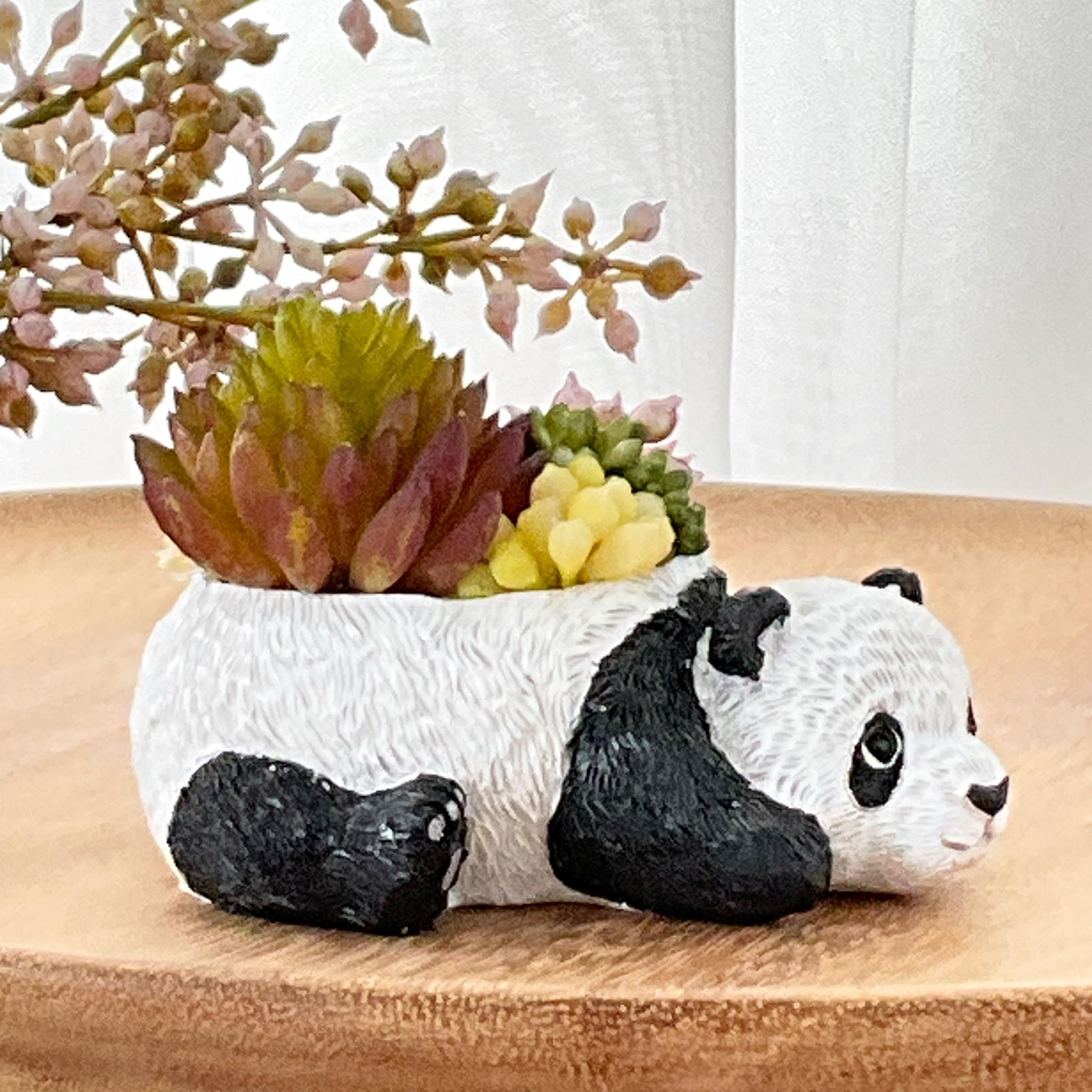 動物モチーフ　多肉植物(フェイク)の寄せ植え　ころりんパンダさん | 4枚目