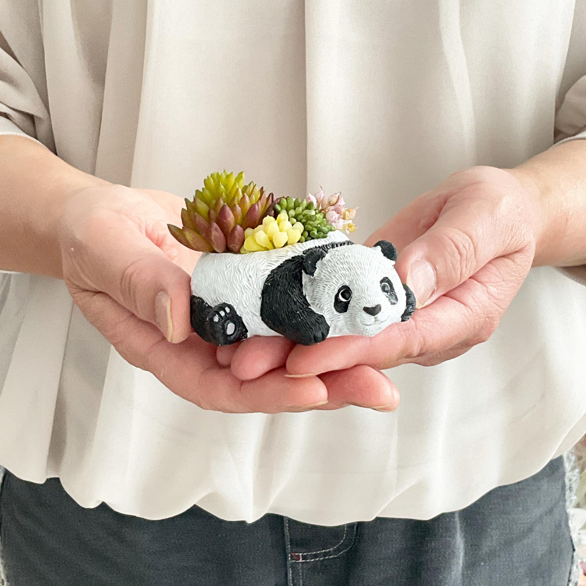 動物モチーフ　多肉植物(フェイク)の寄せ植え　ころりんパンダさん | 9枚目