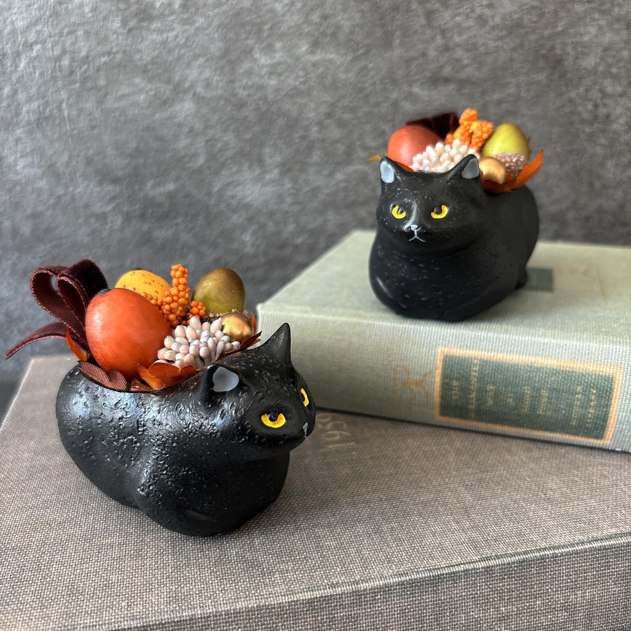 黒猫さんの秋の収穫・かぼちゃ祭り